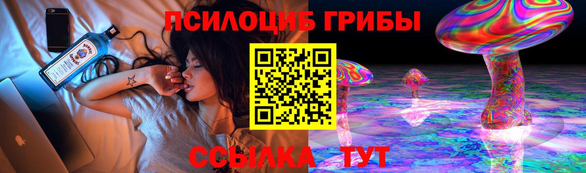 Псилоцибиновые грибы GOLDEN TEACHER  Псилоцибиновые грибы MAGIC MUSHROOMS  Вход с VPN  Новозыбков 